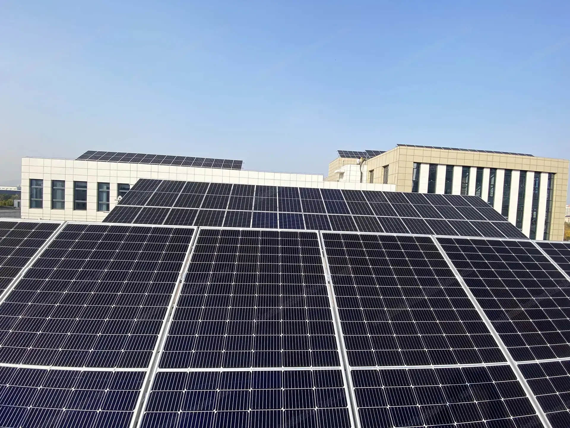 Your Solar Panels Can Pay You: The Grid-Tied Secret Your Solar Panels Can Pay You: The Grid-Tied Secret