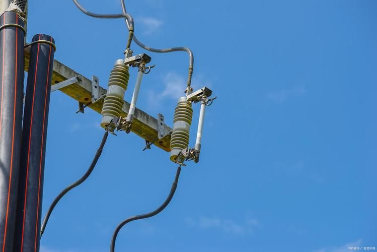 What is the purpose of a fuse cutout?