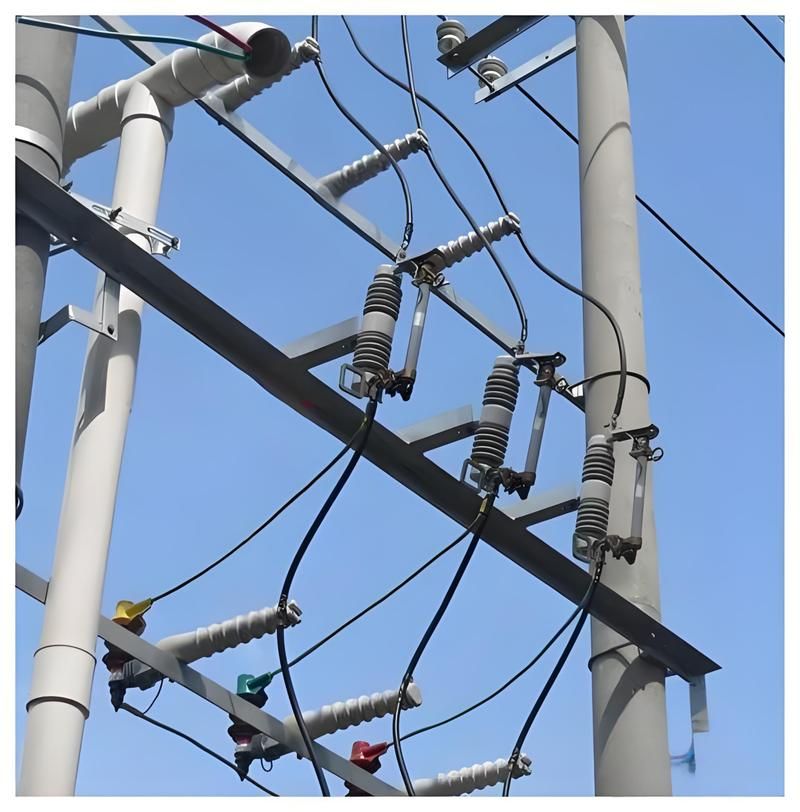 What is the purpose of a fuse cutout?